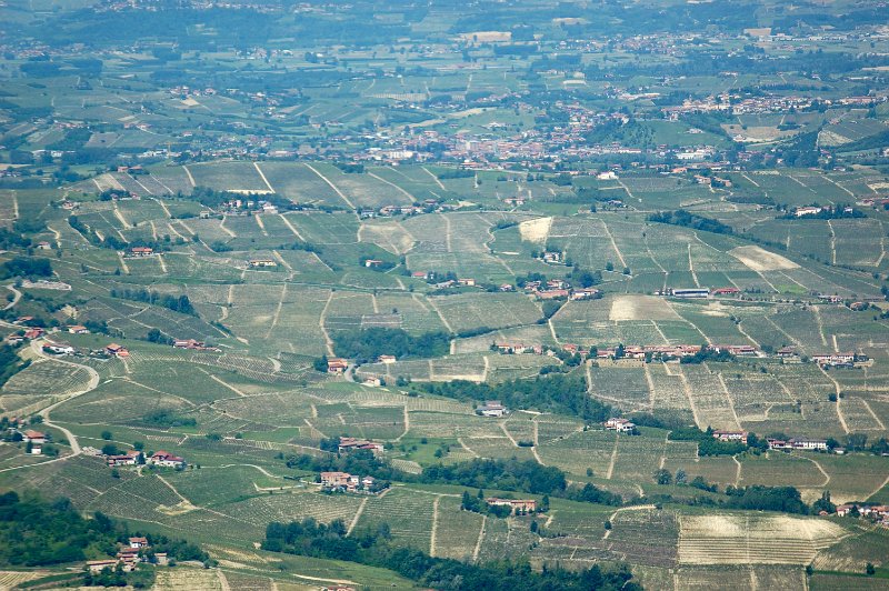 DSC_2539.JPG - Vigneti delle Langhe